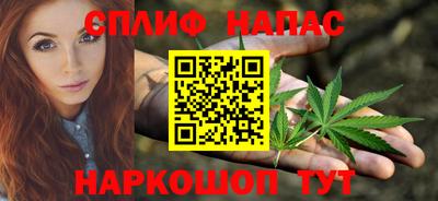 гашик Кингисепп