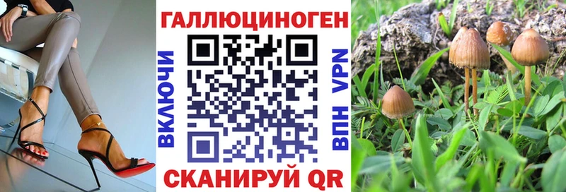 цены   hydra ссылки  Псилоцибиновые грибы GOLDEN TEACHER  Кропоткин 
