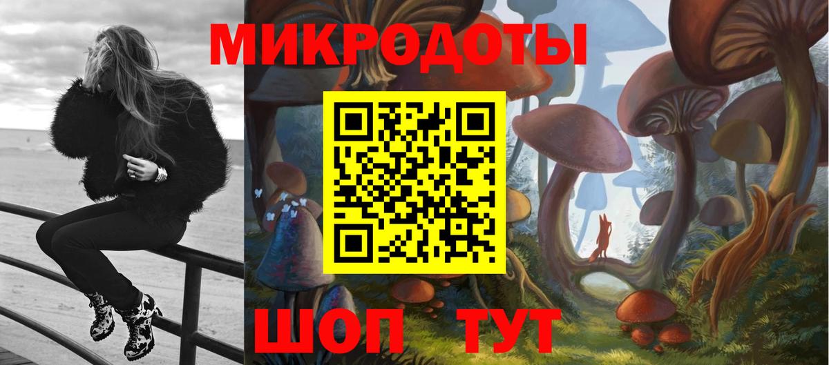 Псилоцибиновые грибы Psilocybe  Вход с VPN  закладки  Псилоцибиновые грибы MAGIC MUSHROOMS  Кропоткин 